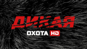 Дикая охота HD 