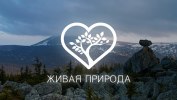 Живая природа HD